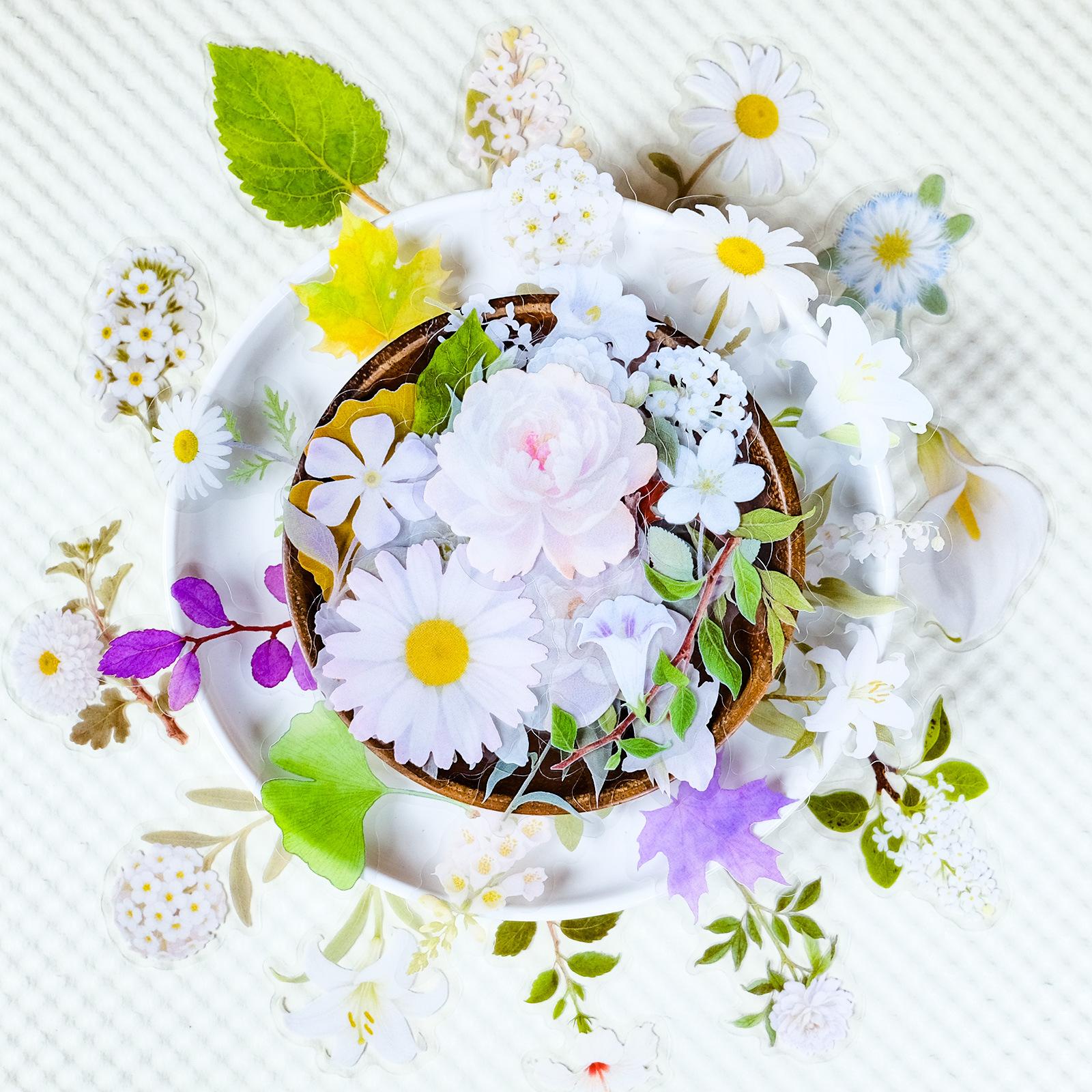 56 White Flower Leaves Transparent Pet Stickers Handmade Hand Account Stationery Stickers
