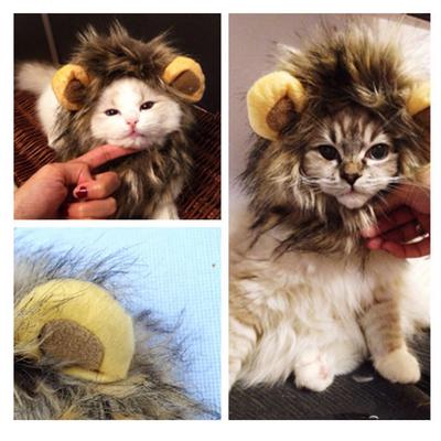Pet Hat Costume Lion Mane Cat Wig Halloween Christmas Party Dress Up Headgear Lion's Mane Cat Hat