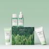 Kit de călătorie pentru mașină cu Centella Madagascar și Arbore de ceai (4 tipuri)