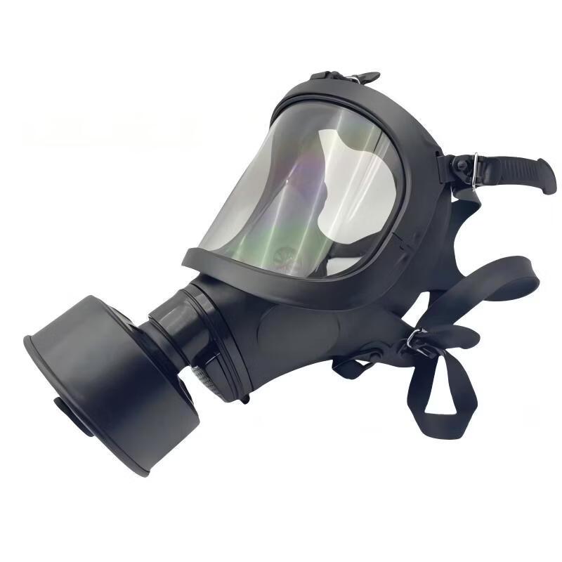 DAXTE Full Face Respirator Mask