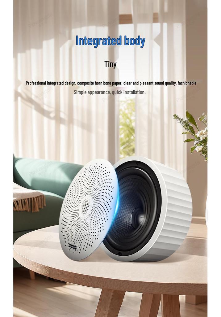 Wireless Indoor Ceiling Speaker with Wall-Mountable Hanging System