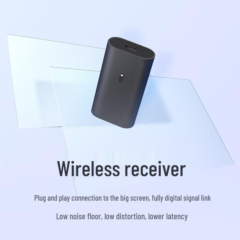 Xiaomi KTV Wireless Dual Microphone Kit