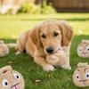 Bissfester Hunde-Elastikball Geldbeutelform Haustier Interaktiver Ball Interaktives Spiel