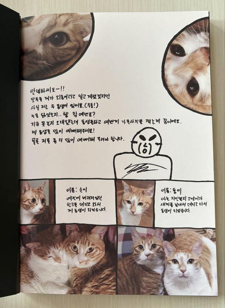 [USED] Stray Kids "I Am Not" Album with Trading Card