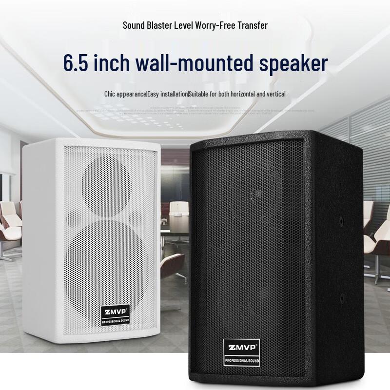 ZMVP S65 6.5-inch Passive Full-Range Conference Speaker