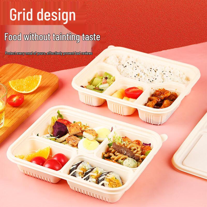 ZISIZ Biodegradable Disposable Food Container