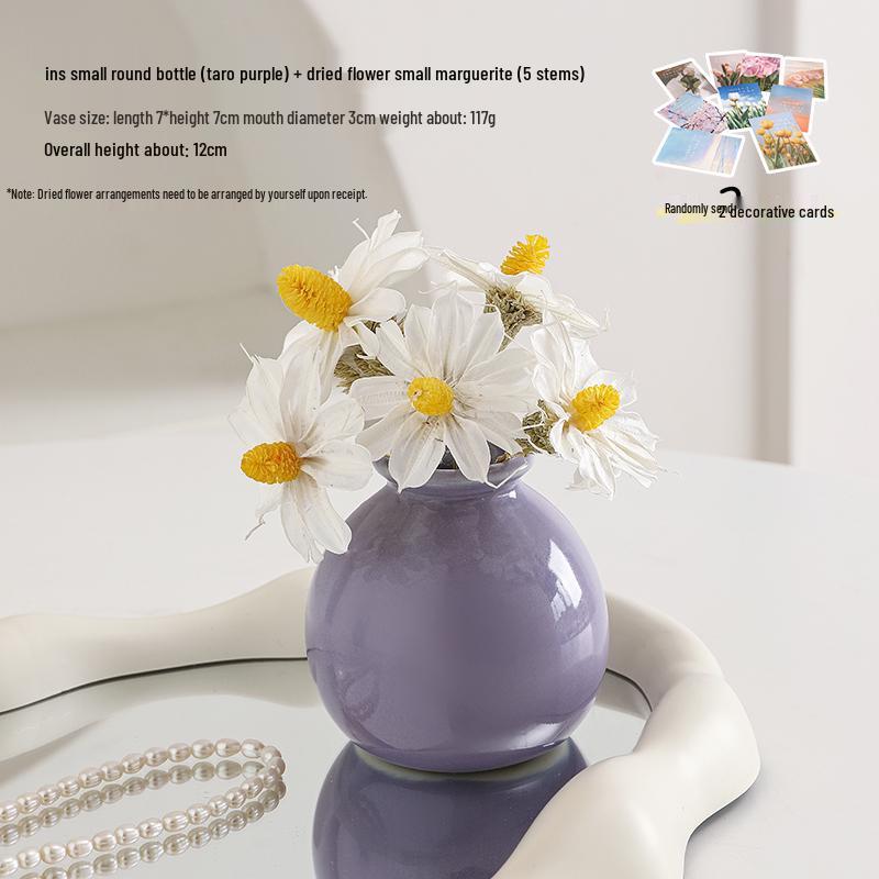 Small Ceramic Desktop Hydroponic Vase for Pothos - Simple Decorative Ornament for Office