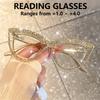 2pcs Elegant Cat-Eye Reading Glasses for Men and Women, Office & Computer Use, Trendy Reading Glasses, Computer Eyewear