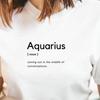 Aquarius Dictionary Definition T Shirt, Zodiac Meaning Tee, Funny Aquarius Shirt UK, Astrology Gift, Star Sign Birthday Tee