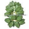 50-Pack Silk Screen-Printed Rose Leaves Simulation - Hot-Selling