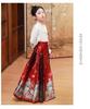 Children's Hanfu Set: Women's Mian Skirt with Embroidered Shirt, 2025 Tang Suit Style.
