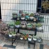 Waterproof Multi-Layer Ladder Shelf Stainless Steel Metal Flower Step Display Stands Balcony Flower Room Plant Rack
