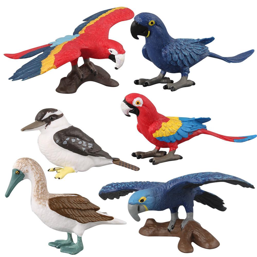 Parrot Kookaburra Model Set With Pvc Material For Childrens Educational Play And Collecting