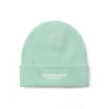 This Isneverthat  ThisIsneverthat  Fr Logo Beanie Mint