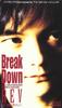 CD REV, MASAYUKI DEGUCHI; TAKESHI HAYA - Break Down  ZADL1096 Zain Records 1994 Japan Japanese Pop/Rock Used