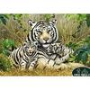 [Puzzle Life] 500 Piece Jigsaw Puzzle - Majestic White Tiger Family Art PL740