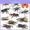 Insect Animal Model Pvc Collection For Educational Display And Collection Enthusiasts