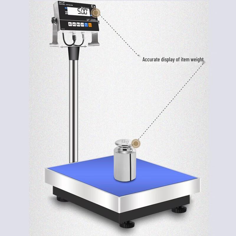 Industrial Electronic Platform Scale