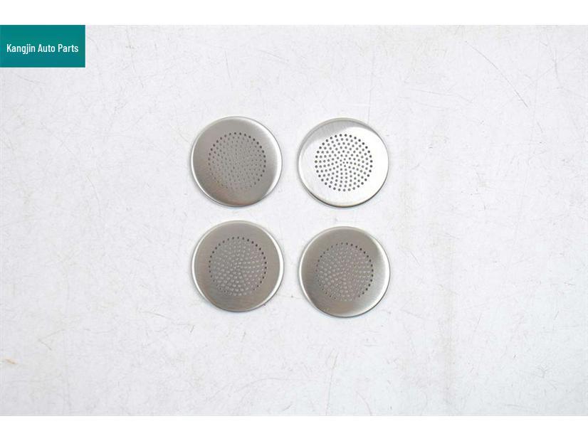 Leopard 25 Model Front Panel Roof Speaker Cover - Titanium Silver Stainless Steel Interior