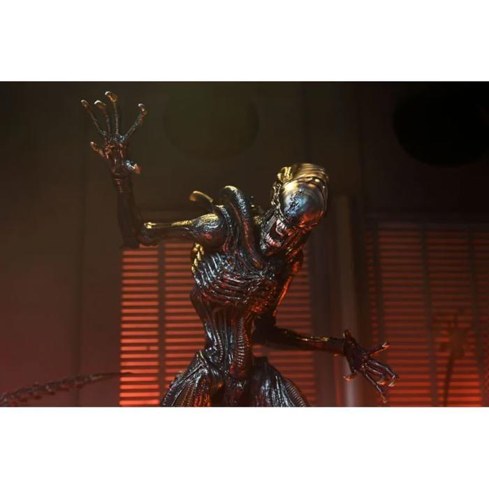 Alien: Romulus Figurine Ultimate Scorched Xenomorph 18 Cm