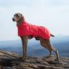 Outdoor Dog Jacket Skin-friendly Double-neck Dog Jacket Winter Thickened Pet Clothes Cold-proof Dog Clothes