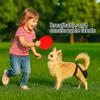 Dog Briefs Mesh Female Dog Pants Breathable Washable Physiological Pants Leak-proof Reusable Dog Diaper Anti Harassment