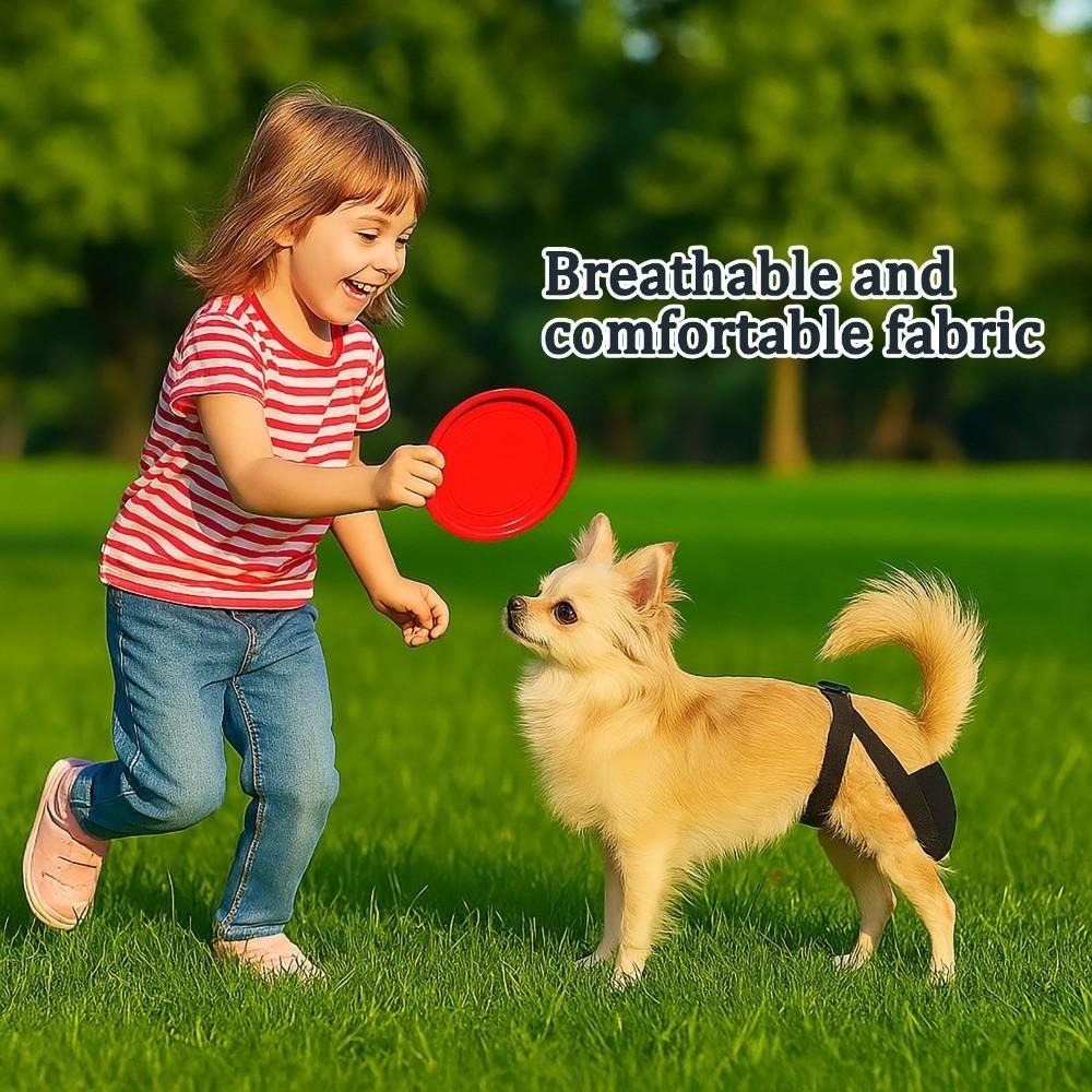 Dog Briefs Mesh Female Dog Pants Breathable Washable Physiological Pants Leak-proof Reusable Dog Diaper Anti Harassment