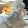 Princess Style Puppy Summer Clothes Elegant Dog Skirt Stylish Dog Costume  Chihuahua