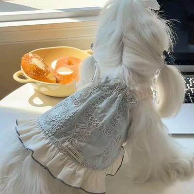 Cute Luxury Pet Princess Dress Princess Style Fashion Dog Skirt Comfortable Elegant Dog Costume Summer