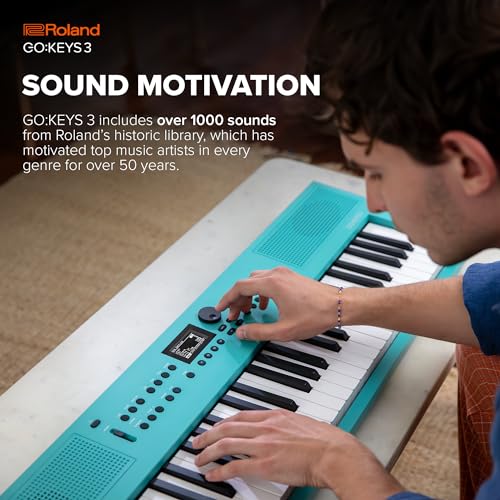 Roland GOKEYS3-RD 61-Key Electronic Keyboard, Dark Red