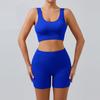Completo da Allenamento Costine Senza Cuciture per Donna Due Pezzi Top Corto Sportivo e Pantaloncini a Vita Alta Abbigliamento Sportivo Outfit Yoga