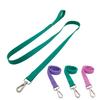 Cães – Colares e correias para cães
