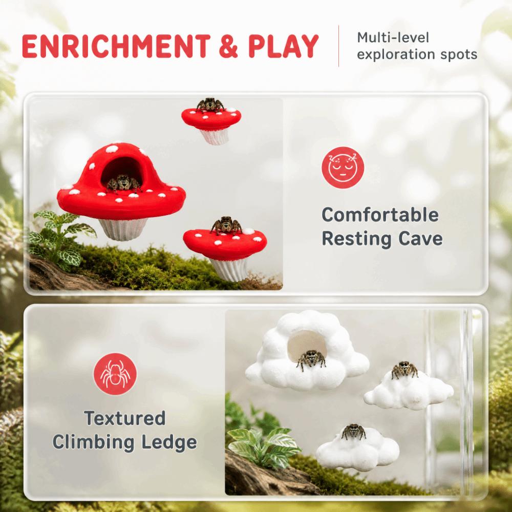 Magnetic Jumping Spider  Platform Cloud-shaped Climbing Ladder for Spider Terrarium  Vivarium