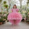 2025 New Children's Princess Dress with Rose 3D Appliques, Bow, and Cake Train