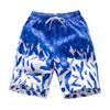Summer Trunks Colorful Feather Print Elastic Waist Loose Beach Shorts for Swimming