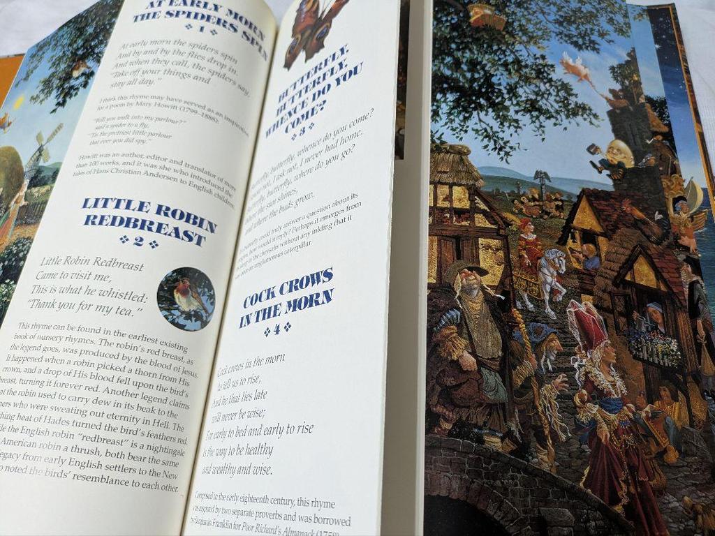 [USED] Picture book Rhymes & Reasons by James Christensen