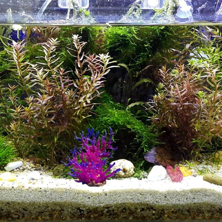 Artificial Coral Colorful Tree for Fish Tanks Aquarium Terrarium Landscaping