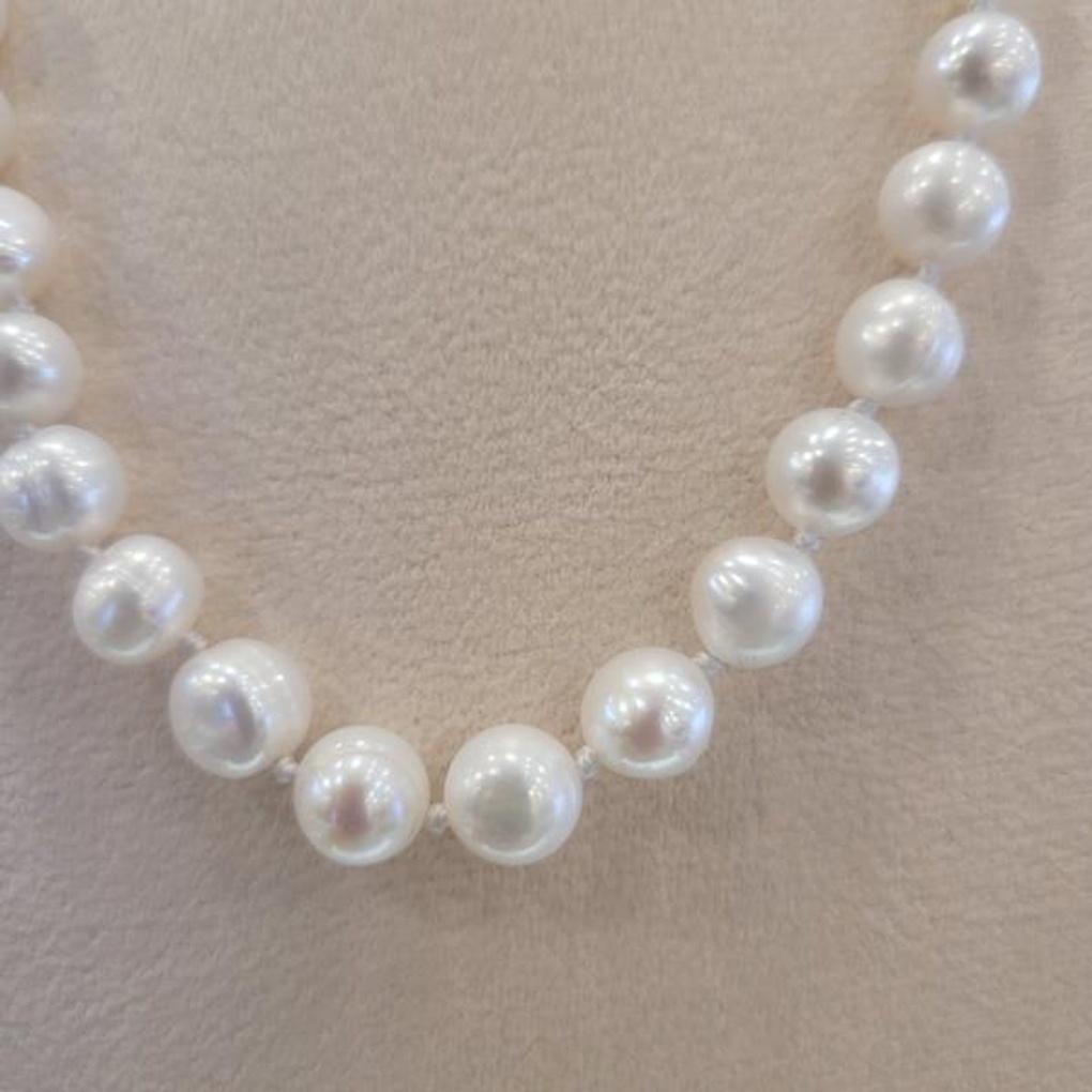 Atria Freshwater Pearl N White Pearl (8mm) 46cm Necklace JQNNEJJ0009WHF