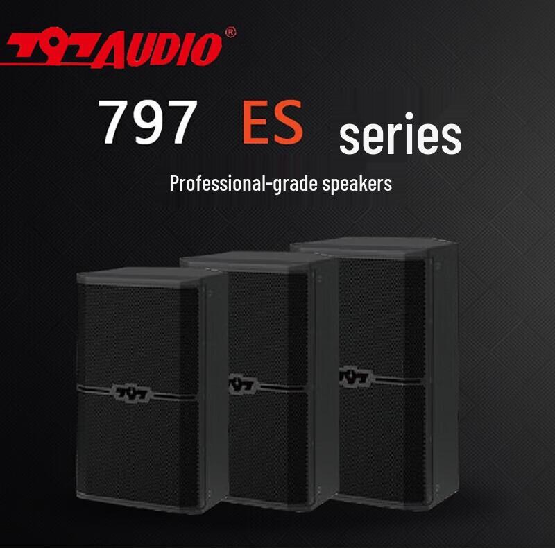 797audio ES10 Professional KTV & Conference Active Speaker CN plug (adapter included)