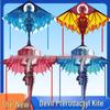 Winged Dragon Kite: High-End Cartoon Kite for Kids