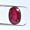 Natural Red Ruby Loose Gemstone 16.10 Ct Oval Shape for Jewelry Making and Gem Collections
