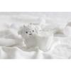 San-X Pokan Tan Plush Toy Hanging Doll Hiyatan 105x95x50mm Soft and Cute Design