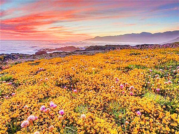 Diamond Art Painting Sunset Seaside Landscape Full Square/round Embroidery Mosaic Flower Scenery Cross Stitch Home Decor