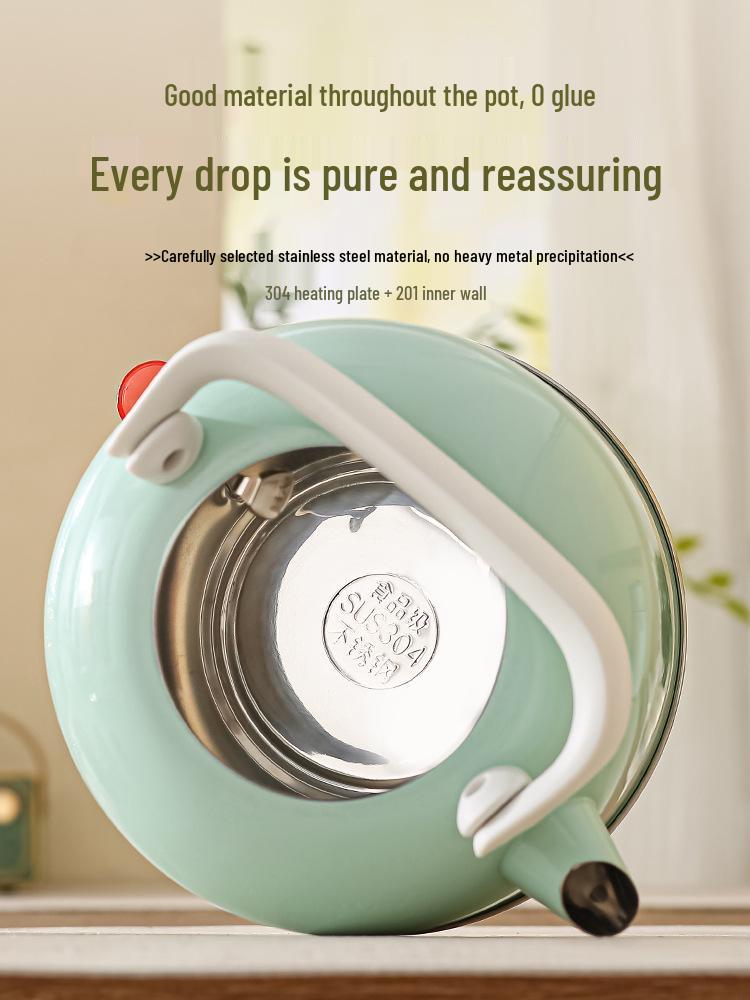 304 Stainless Steel Electric Kettle with Auto Power-Off, Large Capacity.