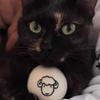 Silent Wool Cat Toy: Prey Ball & Teaser Stick for Self-Amusement, Scratch & Bite-Resistant.