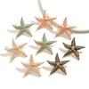 Summer Enamel Starfish Earrings Personality Trend Fashion Pentagram Earrings Light Luxury Holiday Earrings Women