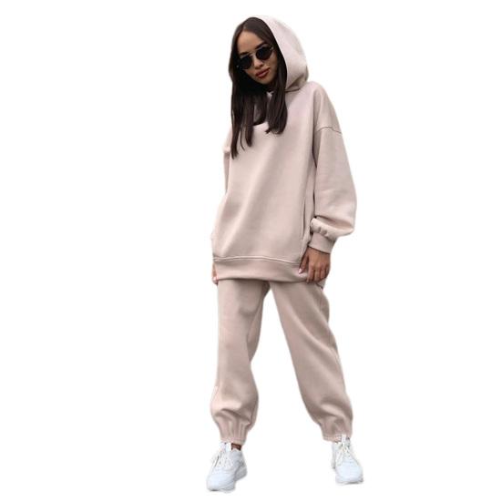 2 Pcs/Set Women Autumn Tracksuit Solid Color Loose Elastic Waist Thick Hooded Keep Warm Pocket Elastic Cuff Deep Crotch Winter