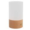 LED Table Lamp 3000K Warm Light Touch Control Stepless Dimming USB Charging Portable Bedside Night