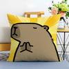 Capybara Cartoon Cute Cushion Cover Washable Linen comfort Soft  for Sofa Bed Cozy Home Room Decor