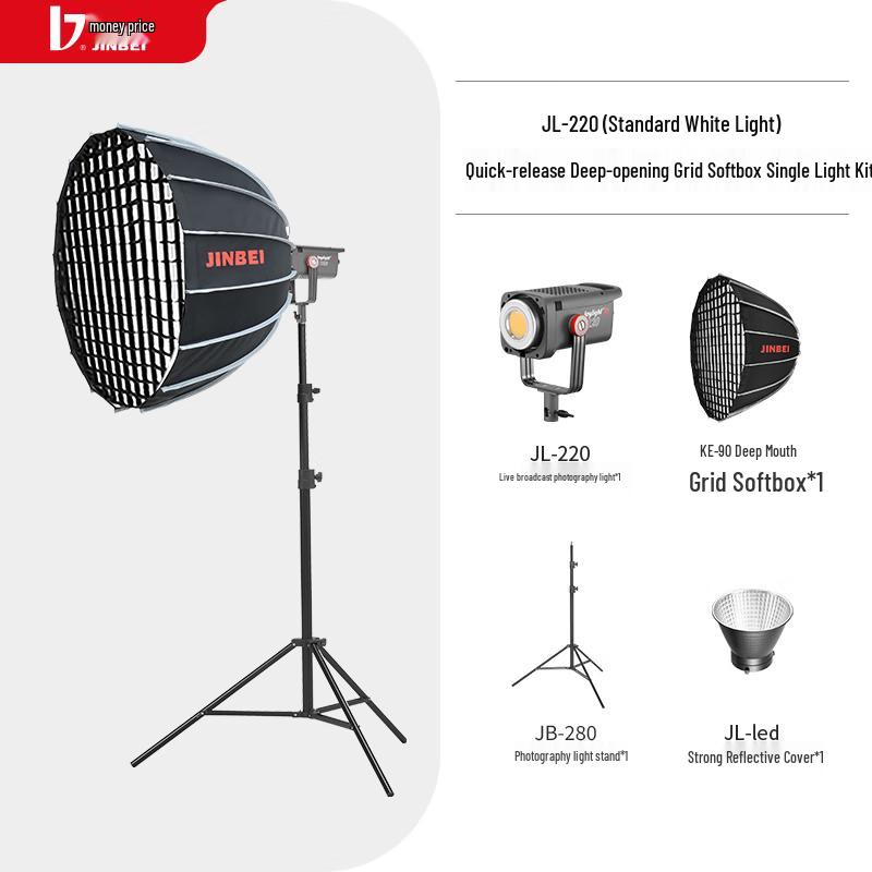 Jinbei JL-220 LED Studio Continuous Light Kit